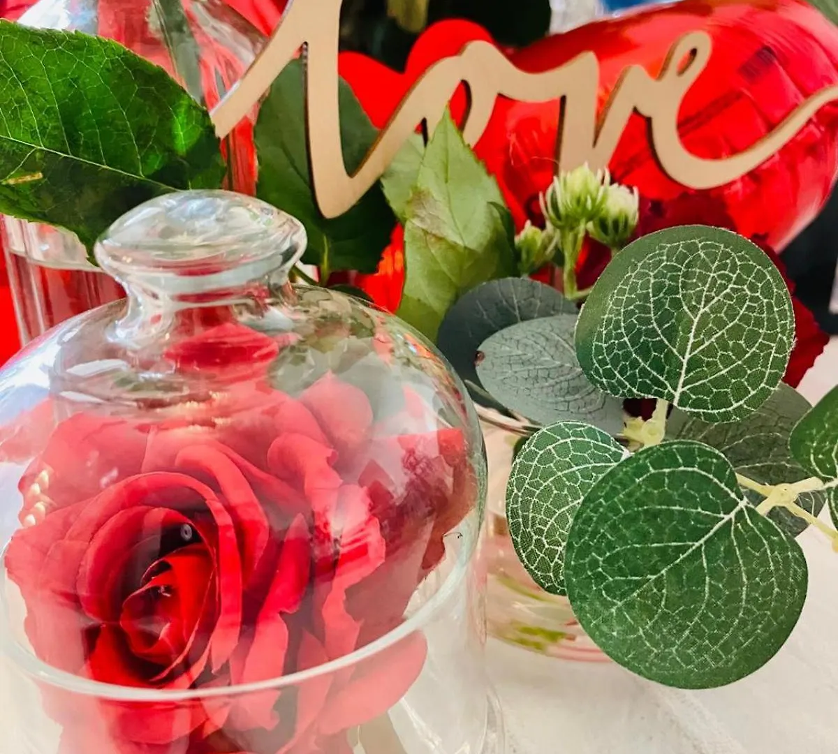 Hotel B&B Viamare Milano Marittima